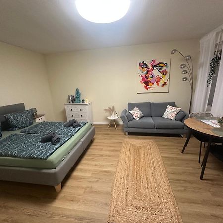 Litzi Apartment 巴登-巴登 外观 照片
